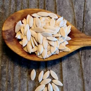 cucumber seed
